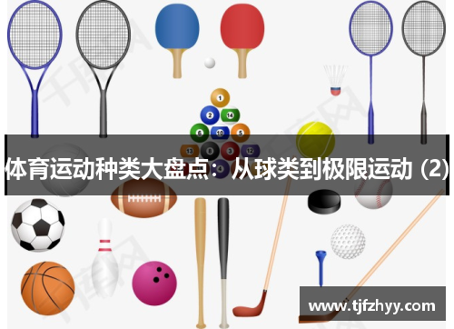 体育运动种类大盘点：从球类到极限运动 (2)